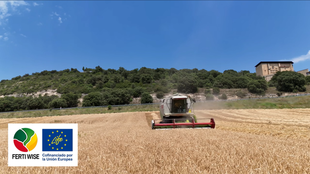Cosecha de los ensayos On-Farm de LIFE FERTI-WISE en Euskadi