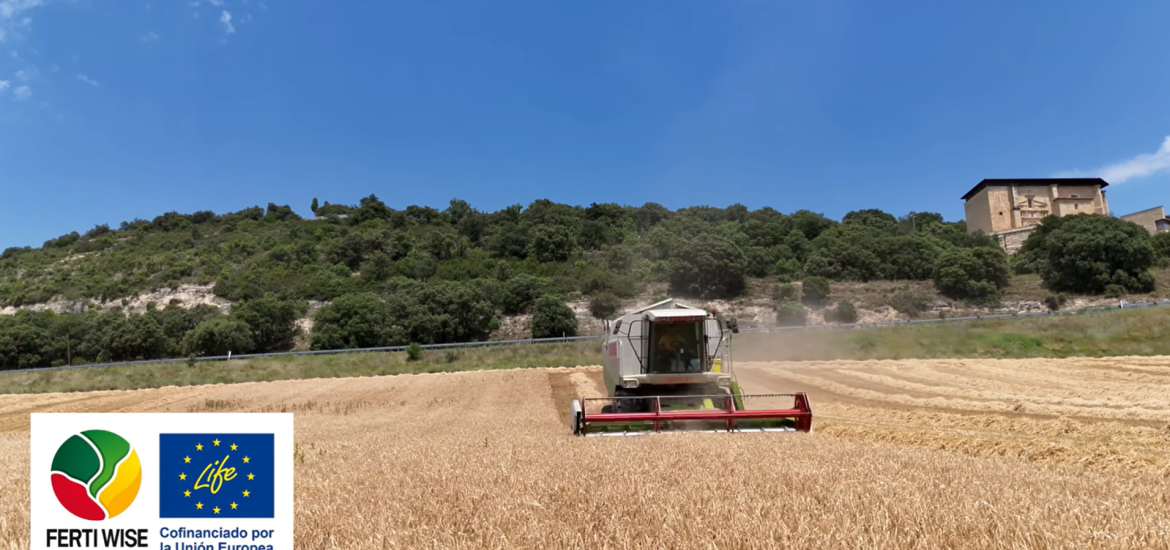Cosecha de los ensayos On-Farm de LIFE FERTI-WISE en Euskadi